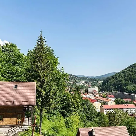 Holiday home Florile Bucegilor Sinaia