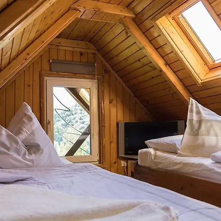 Florile Bucegilor Holiday home Sinaia